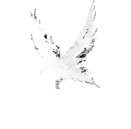 RavenHaus Publishing